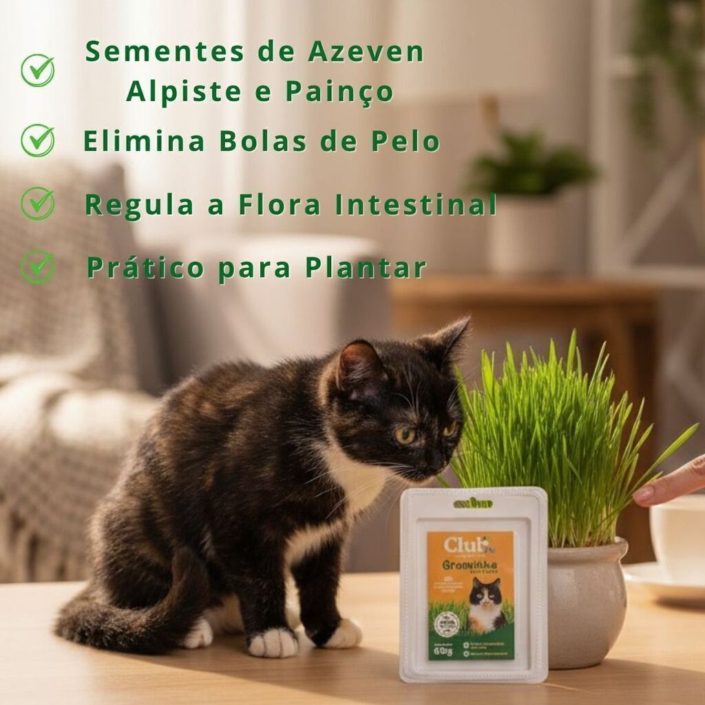 Graminha Gato 60g Auxilia Digestão Anti Bola de Pelo Drop